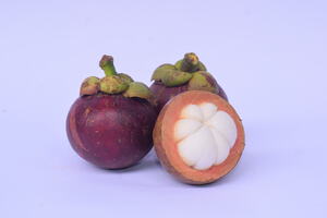 Mangosteen farm